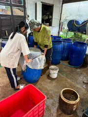 Coffee Fermentation: Reasons To Add Microorganisms