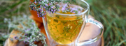 Thyme Black Tea. Detailed Guide
