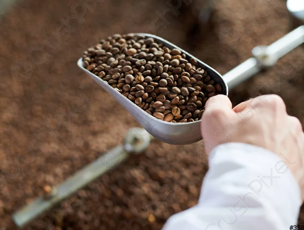 Evaporation Front: What Is It?