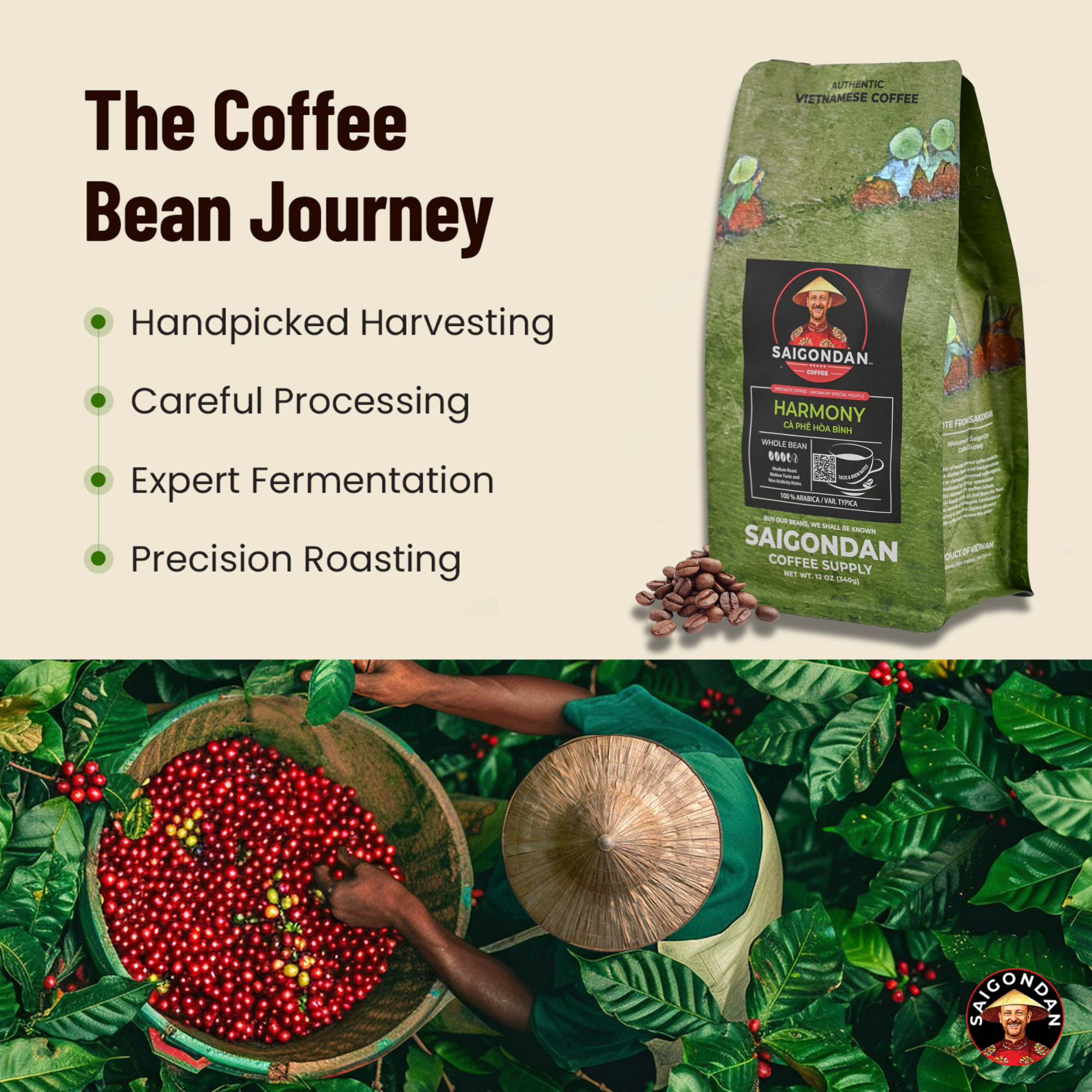 Harmony Whole Bean Coffee | Medium Roast | Vietnamese Single Origin | 100% | Roasted in Small Batch | Direct Trade | No Preservatives | 12 Oz