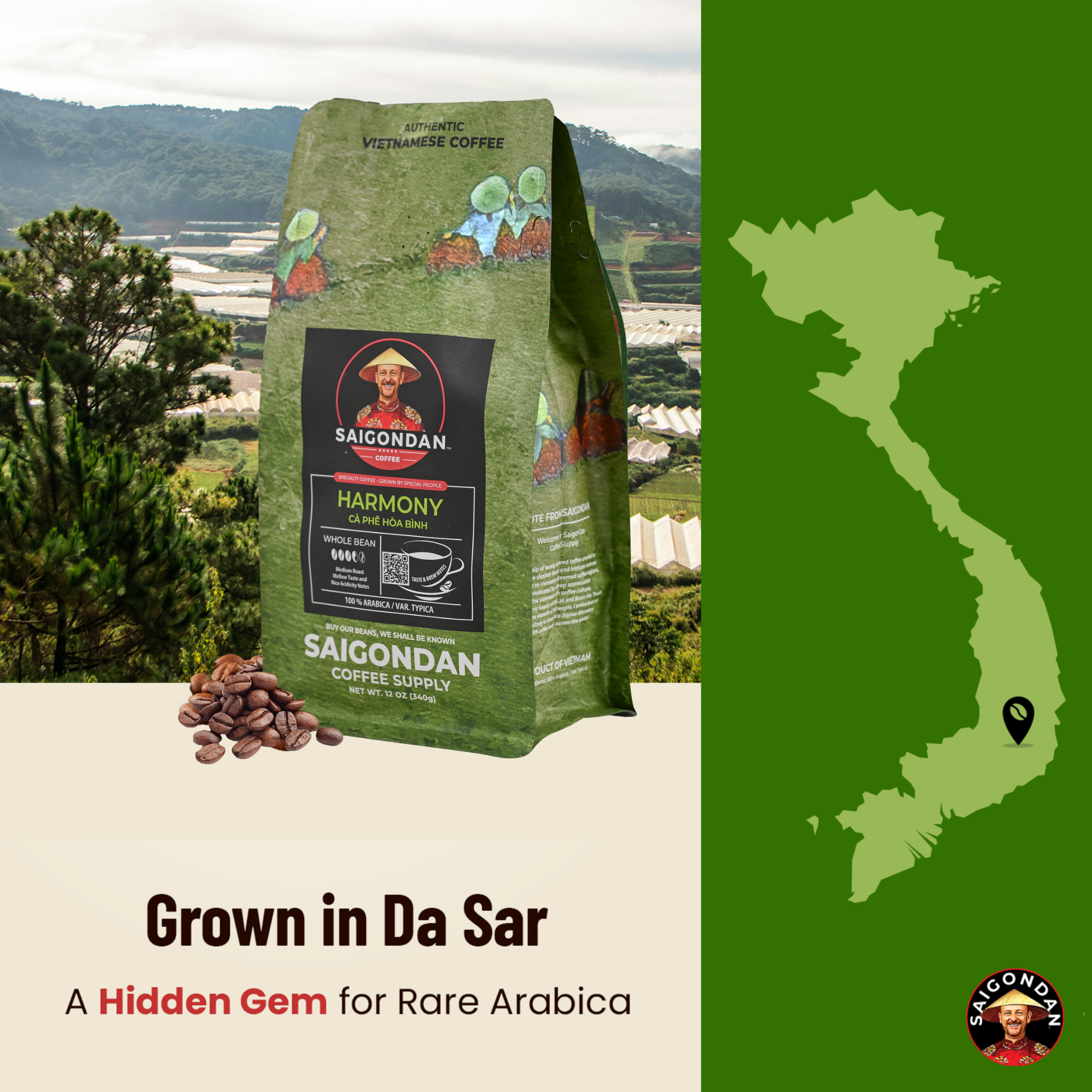 Harmony Whole Bean Coffee | Medium Roast | Vietnamese Single Origin | 100% | Roasted in Small Batch | Direct Trade | No Preservatives | 12 Oz