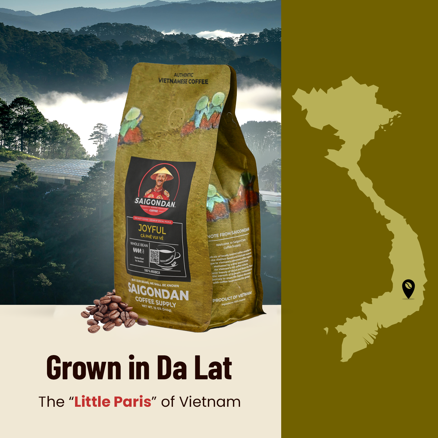 Joyful Whole Bean Coffee | Medium Roast | Vietnamese Single Origin | 100% Arabica Bourbon | Roasted in Small Batch | Direct Trade | With Notes of Orange Blossoms | No Preservatives | 12 Oz