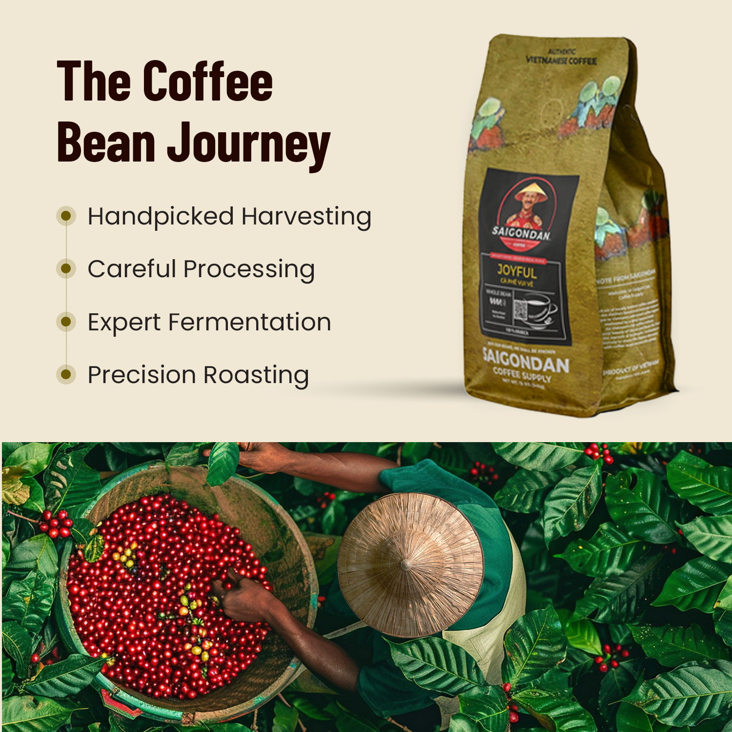 Joyful Whole Bean Coffee | Medium Roast | Vietnamese Single Origin | 100% Arabica Bourbon | Roasted in Small Batch | Direct Trade | With Notes of Orange Blossoms | No Preservatives | 12 Oz