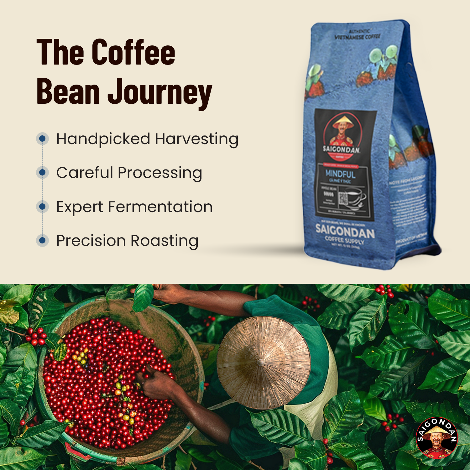 Mindful Whole Bean Coffee | Dark Roast | Robusta & Arabica Blend | Vietnamese Single Origin | Roasted in Small Batch | Full and Strong After Taste | Direct Trade | Full Bodied | No Preservatives | 12 Oz
