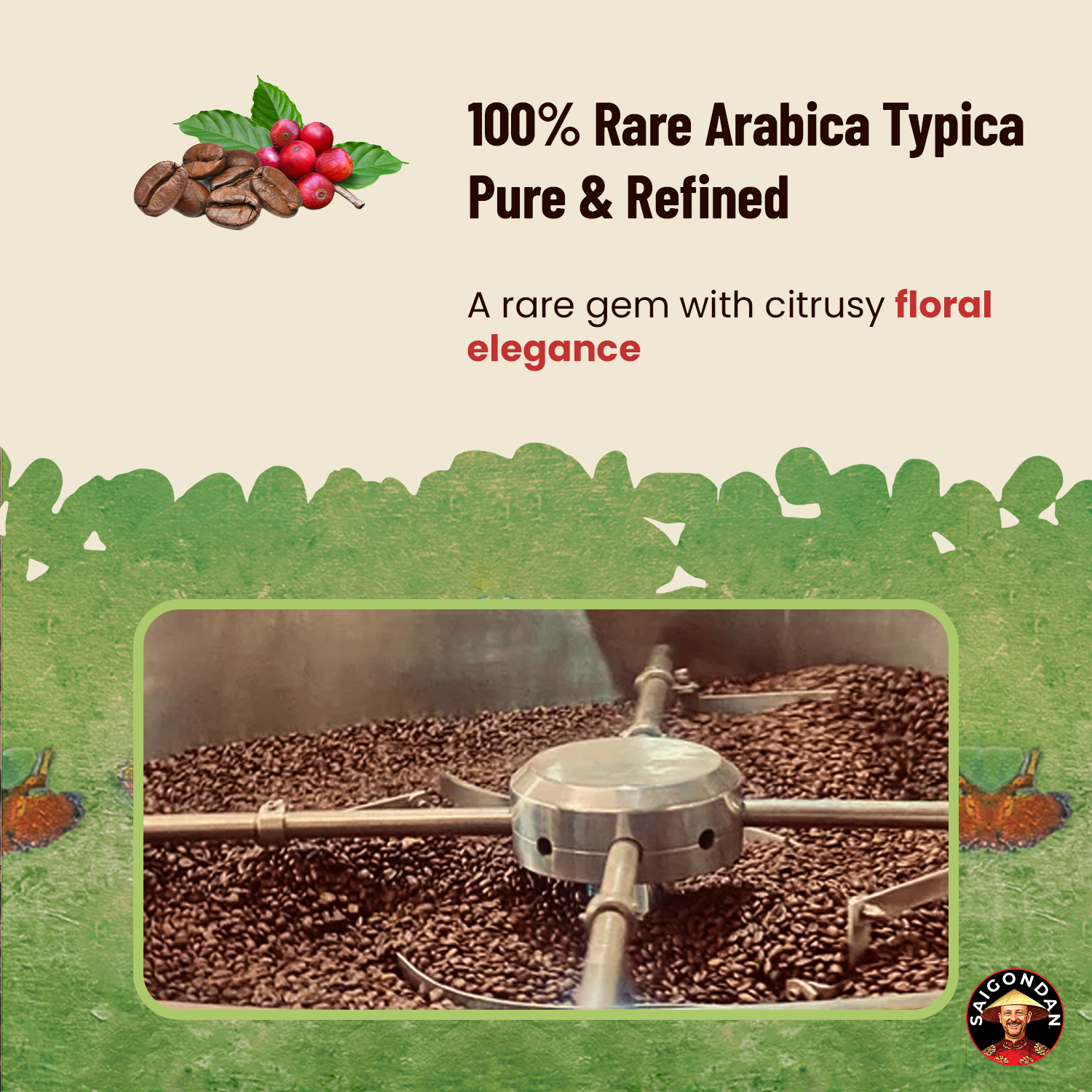 Harmony Whole Bean Coffee | Medium Roast | Vietnamese Single Origin | 100% | Roasted in Small Batch | Direct Trade | No Preservatives | 12 Oz