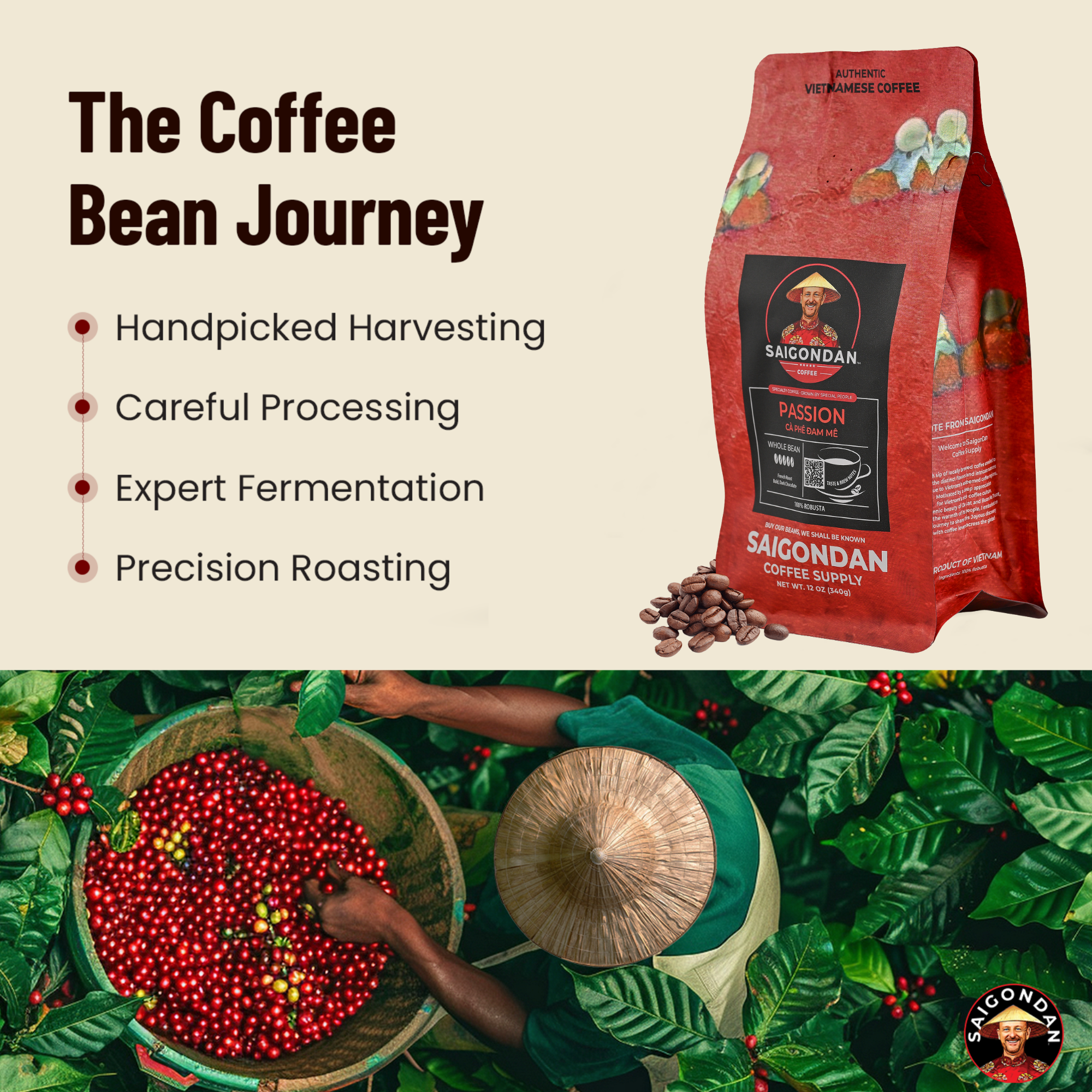 Passion Whole Bean Coffee | French Roast | Vietnamese Single Origin | 100% Robusta | Roasted in Small Batch | Direct Trade | No Preservatives | 12 Oz